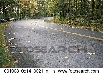 Stock Photo - forest, abji, 
fall, country, 
autumn, ablestock. 
fotosearch - search 
stock photos, 
pictures, images, 
and photo clipart