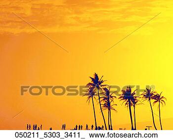 Stock Photo - bright, ala, park, 
moana, hawaii, 
evening, apr. 
fotosearch - search 
stock photos, 
pictures, images, 
and photo clipart