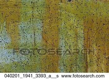 Stock Photo - orange, surface, 
abstract, flecks, 
specks, background. 
fotosearch - search 
stock photos, 
pictures, images, 
and photo clipart