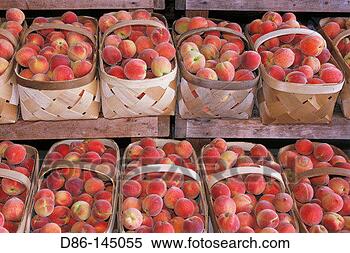 Stock Image - baskets of peaches 
farmers  market. 
fotosearch - search 
stock photos, 
pictures, images, 
and photo clipart
