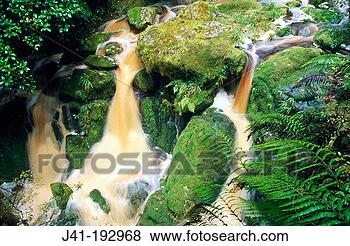 Stock Photo - organic matter 
colours stream 
after storm karamea 
south island new. 
fotosearch - search 
stock photos, 
pictures, images, 
and photo clipart
