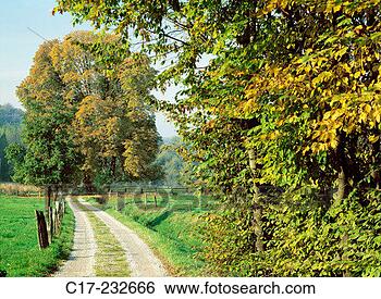 Stock Photo - germany, north 
rhine-westphalia, 
essen, path, tree, 
autumn. fotosearch 
- search stock 
photos, pictures, 
images, and photo 
clipart