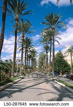 Stock Image - paseo en la avenida 
principal de palma 
de mallorca,  
islas baleares. 
fotosearch - search 
stock photos, 
pictures, images, 
and photo clipart