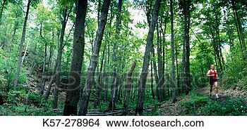 Stock Photo - running in canadian 
forest. fotosearch 
- search stock 
photos, pictures, 
images, and photo 
clipart