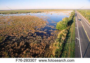Picture - tamiami trail 
everglades national 
park florida, 
usa. fotosearch 
- search stock 
photos, pictures, 
images, and photo 
clipart