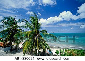 Stock Photo - carriacou island 
grenada caribbean. 
fotosearch - search 
stock photos, 
pictures, images, 
and photo clipart