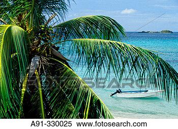 Stock Image - seaside grenada 
island caribbean. 
fotosearch - search 
stock photos, 
pictures, images, 
and photo clipart
