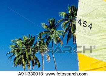Stock Photo - sail grand anse 
beach grenada, 
caribbean. fotosearch 
- search stock 
photos, pictures, 
images, and photo 
clipart