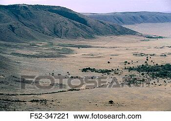 Stock Photography - crater, dry season 
ngorongoro tanzania. 
fotosearch - search 
stock photos, 
pictures, images, 
and photo clipart