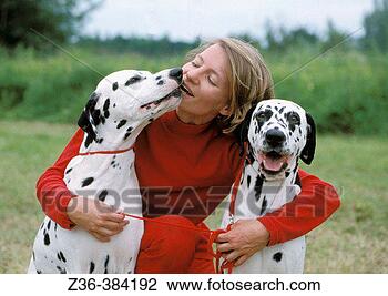 Stock Photo - dalmatians. fotosearch 
- search stock 
photos, pictures, 
images, and photo 
clipart