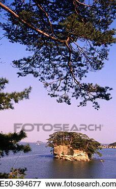 Picture - fukuurajma island 
matsushima north 
honshu japan. 
fotosearch - search 
stock photos, 
pictures, images, 
and photo clipart
