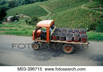 Stock Image - vintage beaujolais 
region, burgundy, 
france. fotosearch 
- search stock 
photos, pictures, 
images, and photo 
clipart