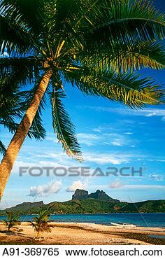 Stock Image - mainland view 
from motu tané 
islet belonging 
to late paul-emile. 
fotosearch - search 
stock photos, 
pictures, images, 
and photo clipart
