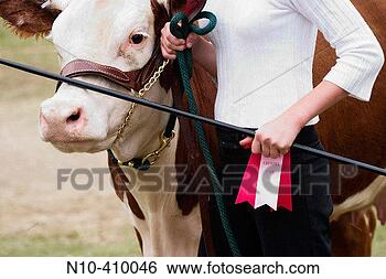 Stock Photo - teen girl holding 
a winning ribbon 
and showing her 
animal in a cattle. 
fotosearch - search 
stock photos, 
pictures, images, 
and photo clipart