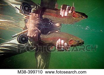 Stock Photography - underwater shot 
of man holding 
a rainbow trout 
silver creek, 
idaho usa. fotosearch 
- search stock 
photos, pictures, 
images, and photo 
clipart