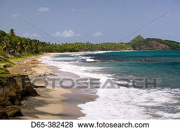 Stock Photo - grenada, east 
coast, grenada 
bay: view of bathways 
beach. fotosearch 
- search stock 
photos, pictures, 
images, and photo 
clipart