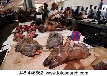 Stock Photo - meat stall at 
libreville market 
gabon. fotosearch 
- search stock 
photos, pictures, 
images, and photo 
clipart