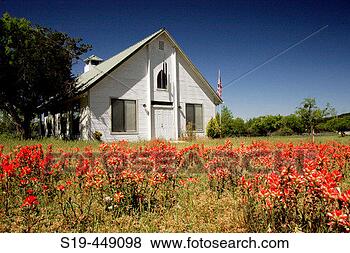 Stock Photo - hill country, 
texas, usa. fotosearch 
- search stock 
photos, pictures, 
images, and photo 
clipart
