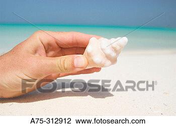 Stock Photo - beach, close-up, 
close up, beaches, 
adults. fotosearch 
- search stock 
photos, pictures, 
images, and photo 
clipart
