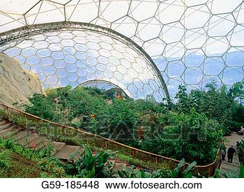 Stock Photo - humid tropics 
biome eden project 
cornwall england. 
fotosearch - search 
stock photos, 
pictures, images, 
and photo clipart