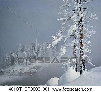 Arquivo de Fotografia - congelado,   árvore, 
  lama,   vulcão, 
  área,   yellowstone, 
  natl. fotosearch 
- busca de fotos, 
imagens e clipart