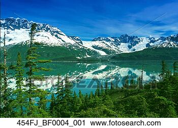 Arquivo de Fotografia - harriman,  fjord, 
 serpentina,  
geleira,  hemlocks, 
 pws,  sc,  ak. 
fotosearch - busca 
de fotos, imagens 
e clipart