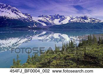 Banco de Imagem - harriman,  fjord, 
 serpentina,  
geleira,  hemlocks, 
 pws,  sc,  ak. 
fotosearch - busca 
de fotos, imagens 
e clipart