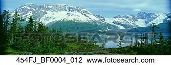 Banco de Imagem - harriman,  fjord, 
 serpentina,  
geleira,  hemlocks, 
 pws,  sc,  ak. 
fotosearch - busca 
de fotos, imagens 
e clipart