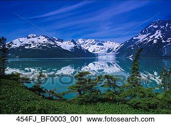 Arquivo de Fotografia - harriman,  fjord, 
 surpresa,  geleira, 
 hemlocks,  pws, 
 sc,  ak. fotosearch 
- busca de fotos, 
imagens e clipart