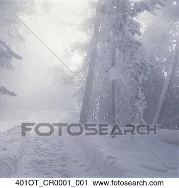 Arquivo de Fotografia - manhã,   brilho, 
  yellowstone, 
  natl,   parque, 
  inverno. fotosearch 
- busca de fotos, 
imagens e clipart