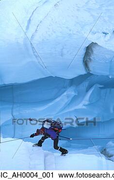 Arquivo de Fotografia - mountaineer,  
pika,  geleira, 
 alasca,  gama, 
 denali,  natl, 
 parque. fotosearch 
- busca de fotos, 
imagens e clipart