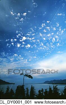 Arquivo de Fotografia - nuvens,   azul, 
  céu,   nichols, 
  passagem,   
hemlock,   árvore. 
fotosearch - busca 
de fotos, imagens 
e clipart