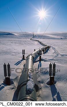 Stock Photography - trans alaska pipeline 
on tundra arctic 
alaska. fotosearch 
- search stock 
photos, pictures, 
images, and photo 
clipart