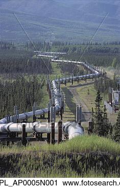 Stock Photography - trans alaska pipeline 
interior alaska 
summer. fotosearch 
- search stock 
photos, pictures, 
images, and photo 
clipart