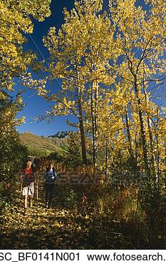 Stock Photography - family hiking 
autumn forested 
trail chugach 
state park & mountains. 
fotosearch - search 
stock photos, 
pictures, images, 
and photo clipart