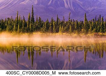 Hazır Fotoğraf - orman,  yansit, 
 drashner,  göl, 
 w/mist,  boyunca, 
 sahil hatı,  
ak. fotosearch 
- foto, resim, 
görüntü ve foto 
klipart ara
