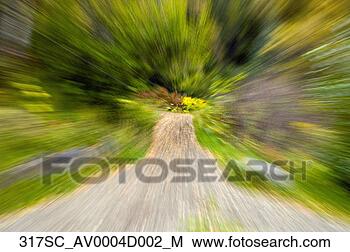 Hazır Fotoğraf - patika,  sayesinde, 
 orman,  baş, 
 sonbahar,  chugach, 
 devlet,  park. 
fotosearch - foto, 
resim, görüntü 
ve foto klipart 
ara