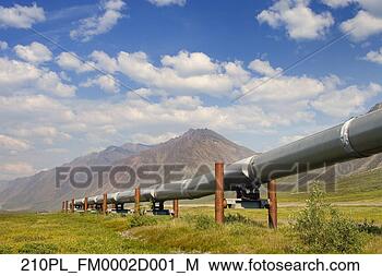 Hazır Fotoğraf - trans-alaska, 
  boru hattı, 
  germe,   karşıdan 
karşıya,   tundra. 
fotosearch - foto, 
resim, görüntü 
ve foto klipart 
ara