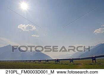 Hazır Fotoğraf - trans-alaska, 
 boru hattı,  
bolluk,  koy, 
 boyunca,  dalton, 
 otoban. fotosearch 
- foto, resim, 
görüntü ve foto 
klipart ara