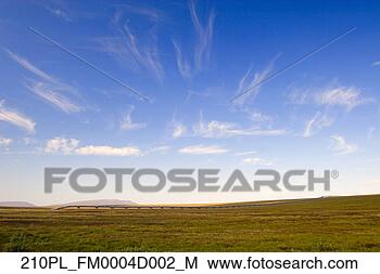 Hazır Fotoğraf - tutunma filizi, 
  bulutlar,   
üstünde,   trans-alaska, 
  boru hattı. 
fotosearch - foto, 
resim, görüntü 
ve foto klipart 
ara