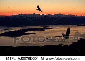 行, 日落, 内部, 通路, 东南, 阿拉斯加, 合成物 15