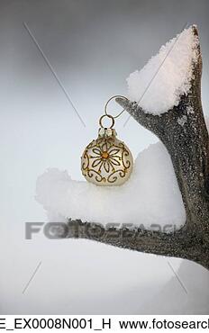 Banco de Imagem - natal,   ornamento, 
  penduradas, 
  neve,   coberto, 
  antler. fotosearch 
- busca de fotos, 
imagens e clipart