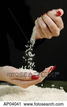 Hazır Fotoğraflar - kadin,  eleme, 
 pirinç,  arasinda, 
 parmaklar. fotosearch 
- foto, resim, 
görüntü ve foto 
klipart ara