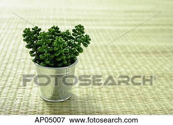 Picture - artificial plant 
in a pot. fotosearch 
- search stock 
photos, pictures, 
images, and photo 
clipart