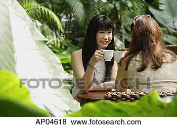 Stock Photo - two women at outdoor 
garden cafe, having 
a drink. fotosearch 
- search stock 
photos, pictures, 
images, and photo 
clipart