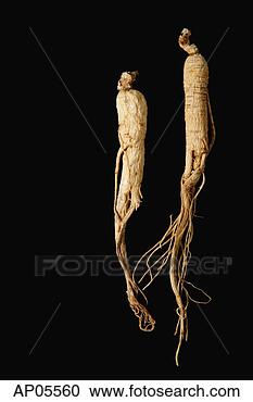 Stock Photography - ginseng, still 
life. fotosearch 
- search stock 
photos, pictures, 
images, and photo 
clipart
