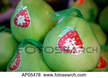 Hazır Fotoğraf - pomelos,  talep, 
 işlemek,  buna 
rağmen,  yaşam. 
fotosearch - foto, 
resim, görüntü 
ve foto klipart 
ara