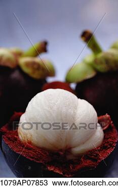 Stock Photo - mangosteen. fotosearch 
- search stock 
photos, pictures, 
images, and photo 
clipart