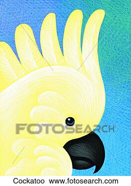 Stock Illustration - cockatoo. fotosearch 
- search clipart, 
illustration, 
drawings and vector 
eps graphics images