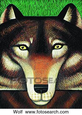 Clipart - lobo. fotosearch 
- busca de ilustrações 
clipeart e desenhos
